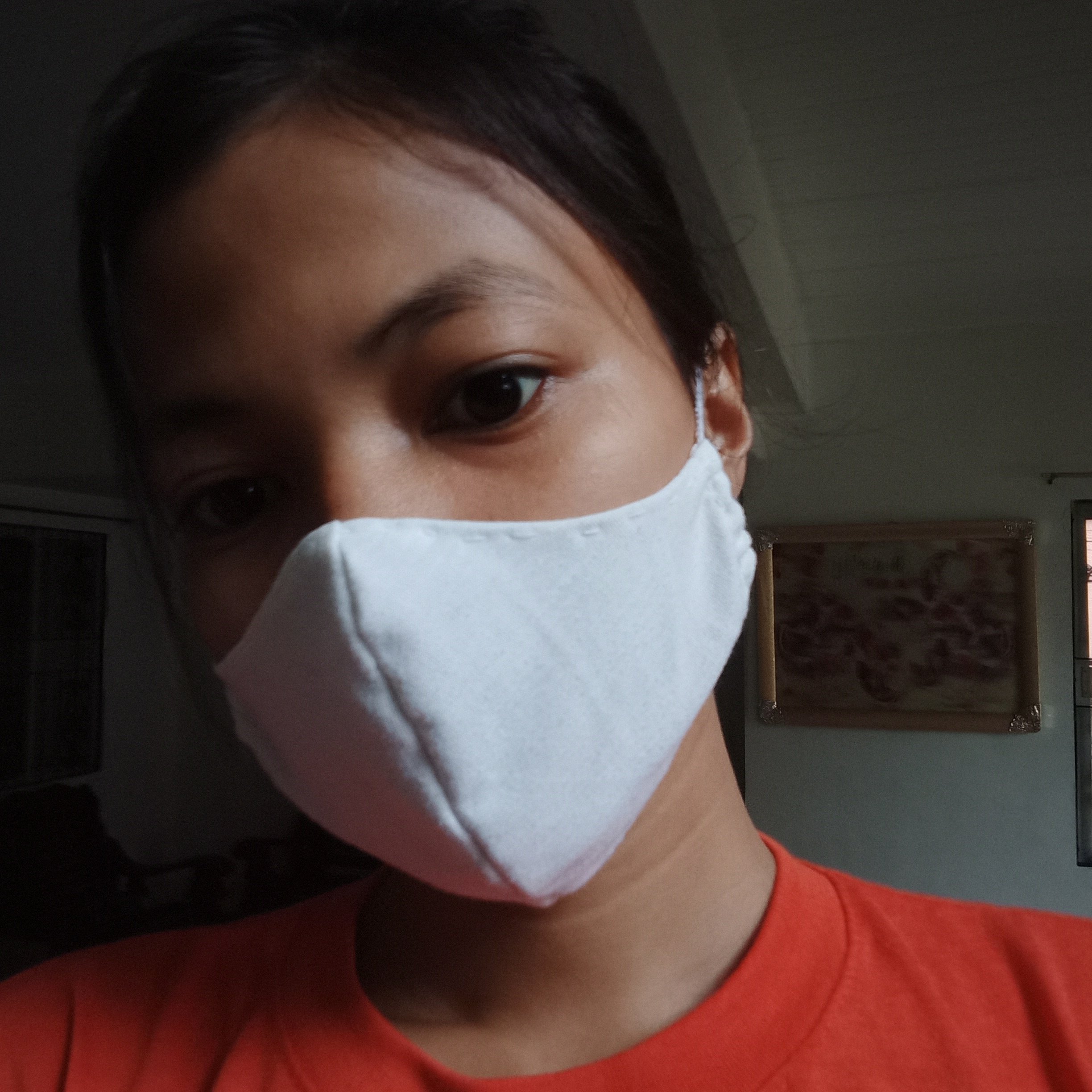 DIY DUST/FACE MASK (Hand sewn)