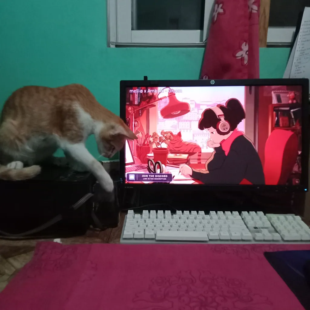 cat on the printer reaching for keyboard